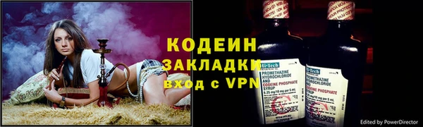 крисы Елизово