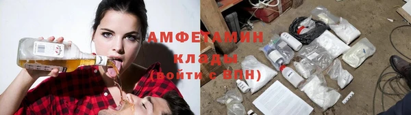 крисы Елизово